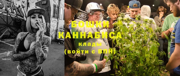 мдпв Лиски