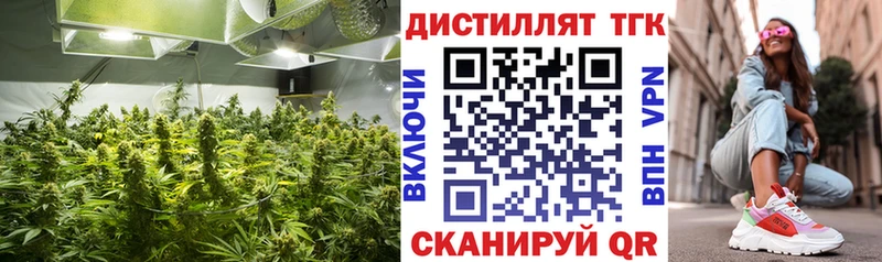 Дистиллят ТГК гашишное масло  Железногорск 