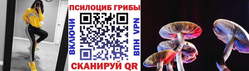 Псилоцибиновые грибы GOLDEN TEACHER  закладка  Железногорск 